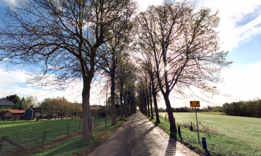 Bomen Slotlaan