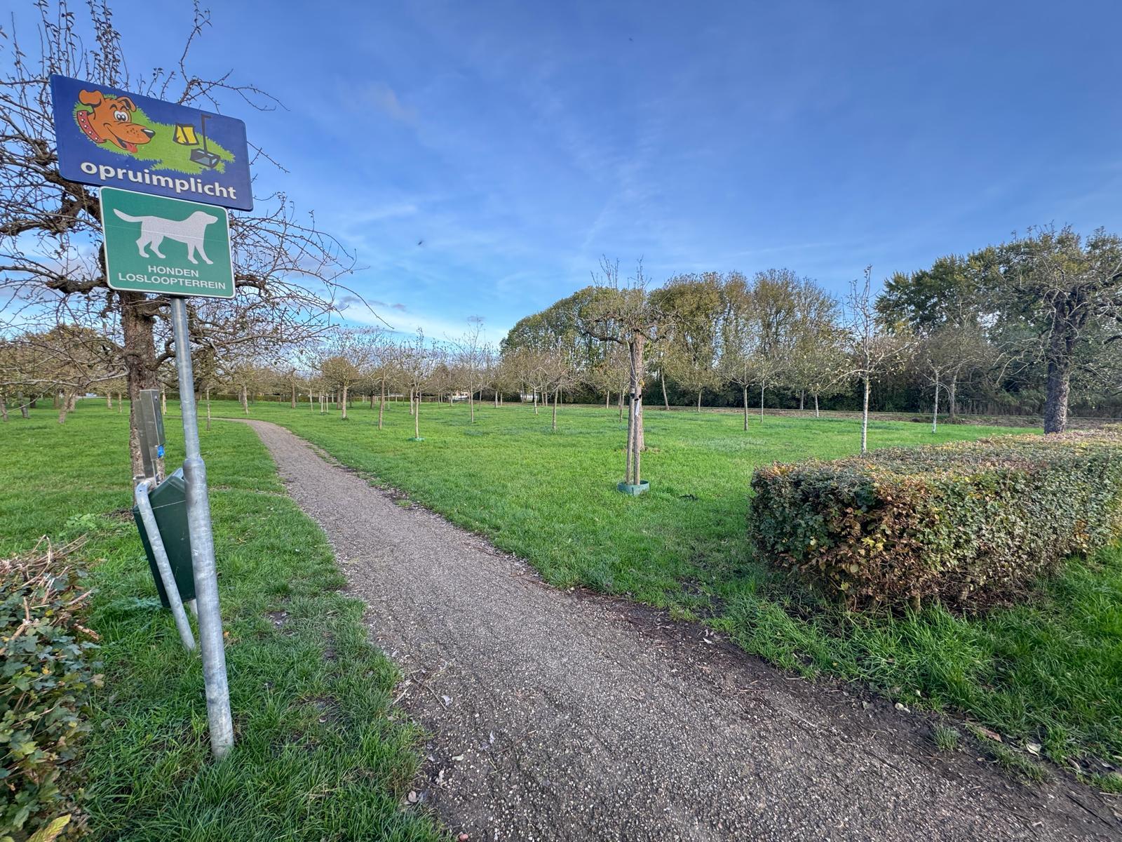 Hondenloosloopgebied