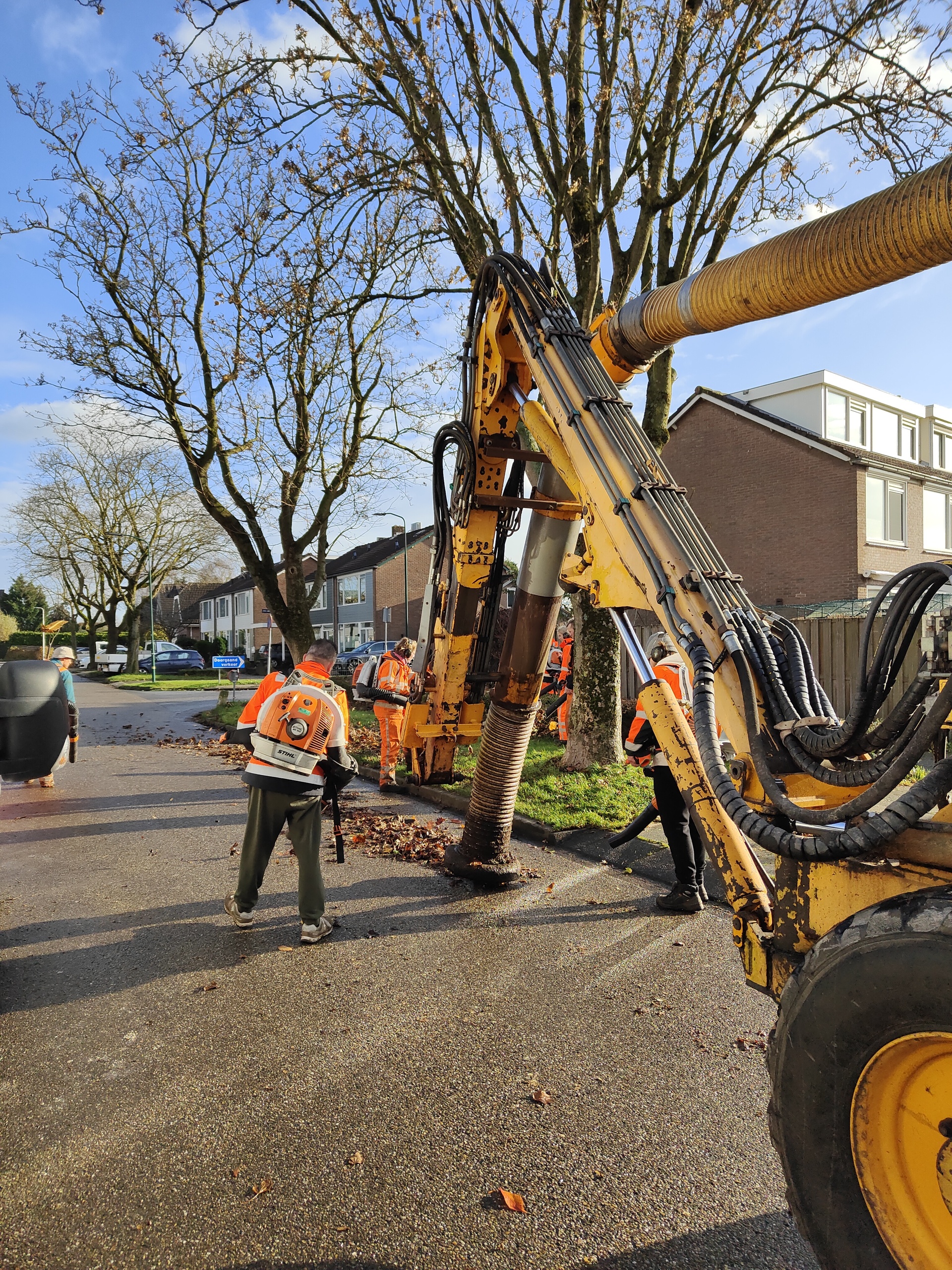 IMG20241126113902 (1)