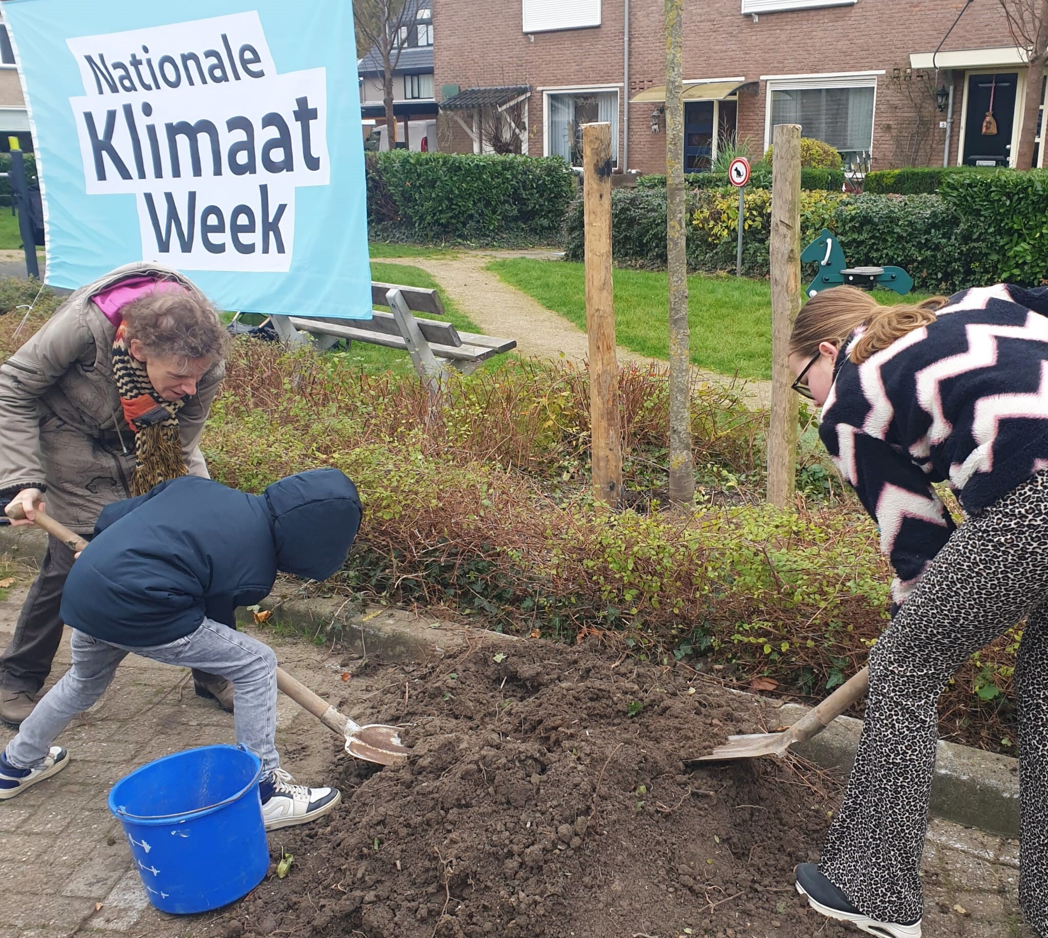 Klimaatbomen planten